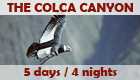 Program: The Colca Canyon - 3 days / 2 nights