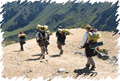 VISIT PERU  TRAVEL INFORMATION - PERU TOURS