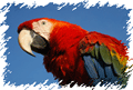 VISIT PERU  TRAVEL INFORMATION - PERU TOURS