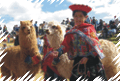 VISIT PERU  TRAVEL INFORMATION - PERU TOURS