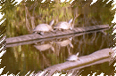 VISIT PERU  TRAVEL INFORMATION - PERU TOURS